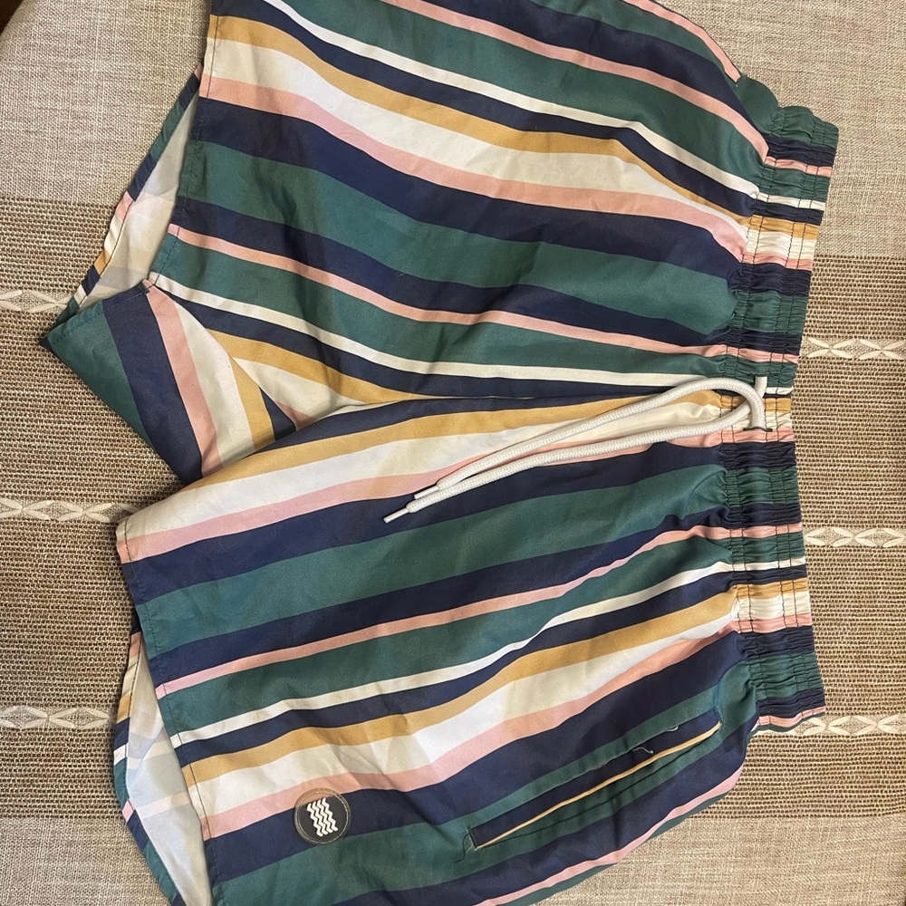 Topman Striped Multicolor Men's Swim Trunks